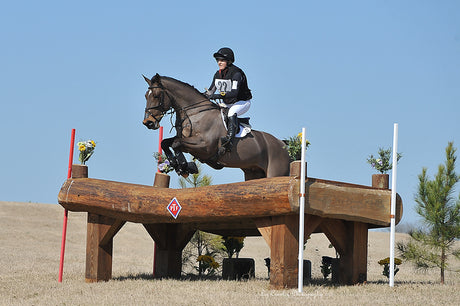 Jill Thomas-Smith on a dark bay horse jumping a table