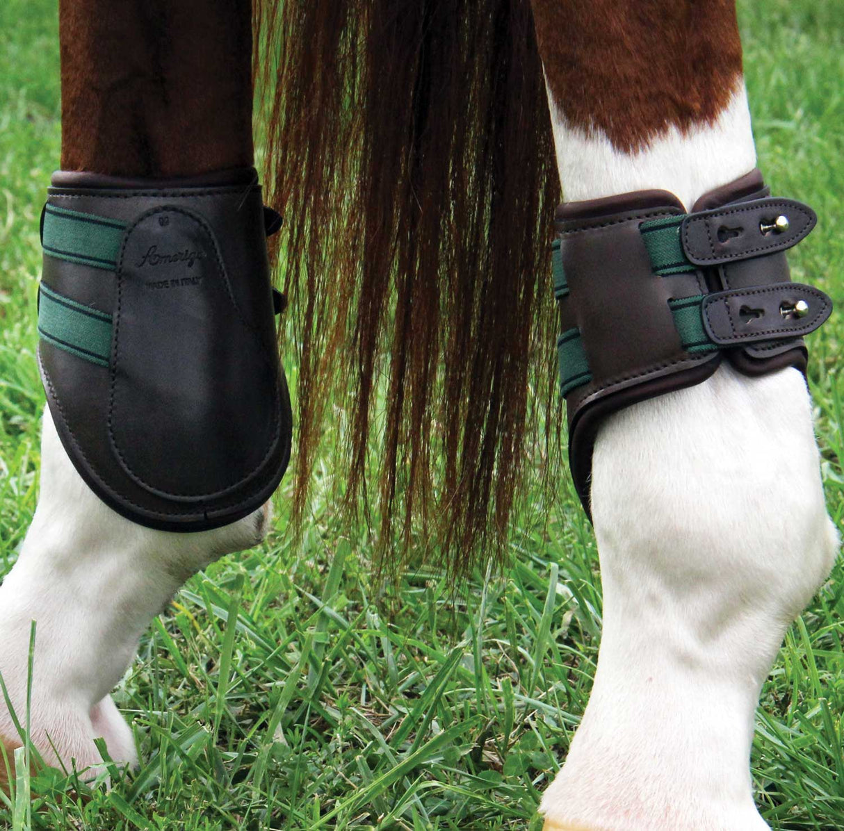 Amerigo Pialotta Fetlock Boots