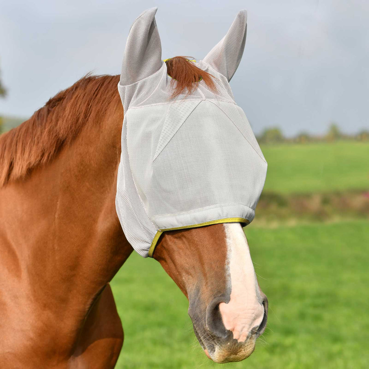 Equilibrium Field Relief Midi Fly Mask with Ears