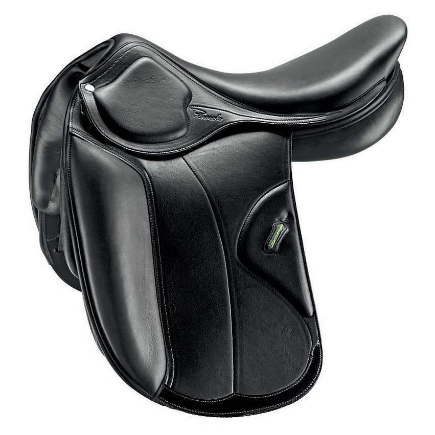 Amerigo Dressage DJ