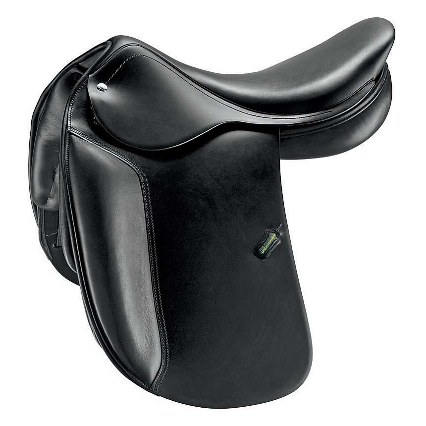 Amerigo Dressage DJ