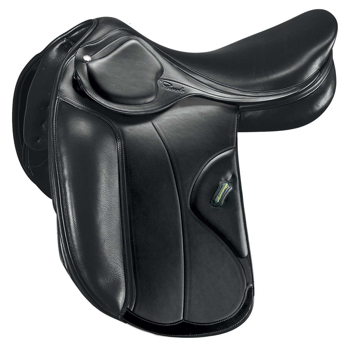 Amerigo Dressage Close Contact