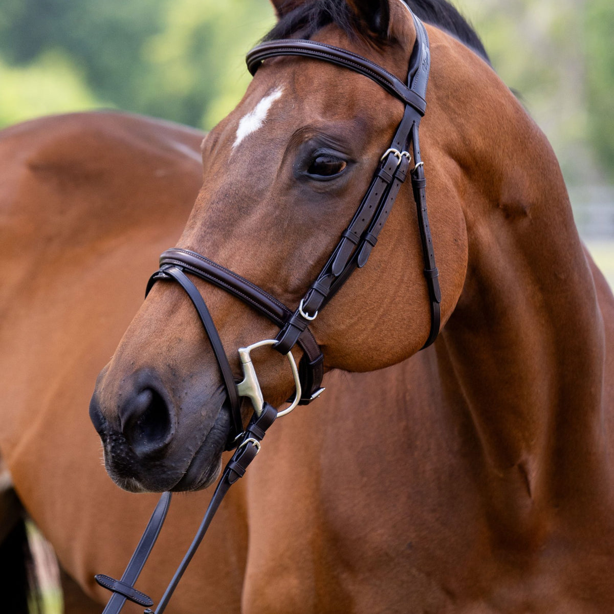 Essai : bride d'entraînement ComFiTec Snaffle Pony noire par Collegiate Essai : bride d'entraînement ComFiTec Snaffle Pony noire par Collegiate