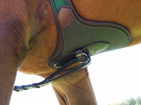 Amerigo Protector Jump Girth with Vibram®