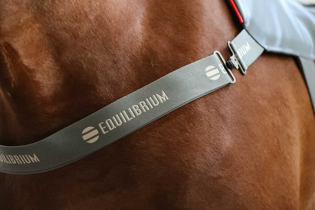 Equilibrium Therapy Massage Pad Heatsense