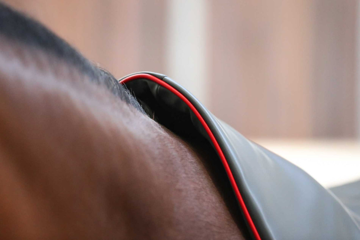 Equilibrium Therapy Massage Pad Heatsense