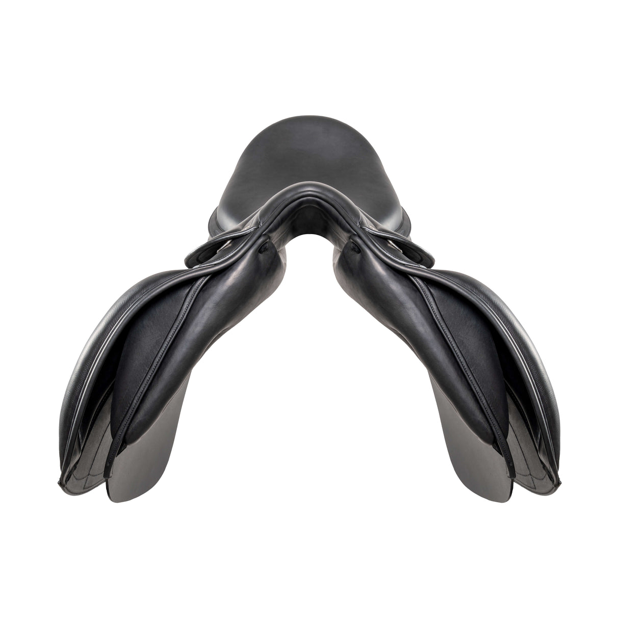 Amerigo Classic Dressage