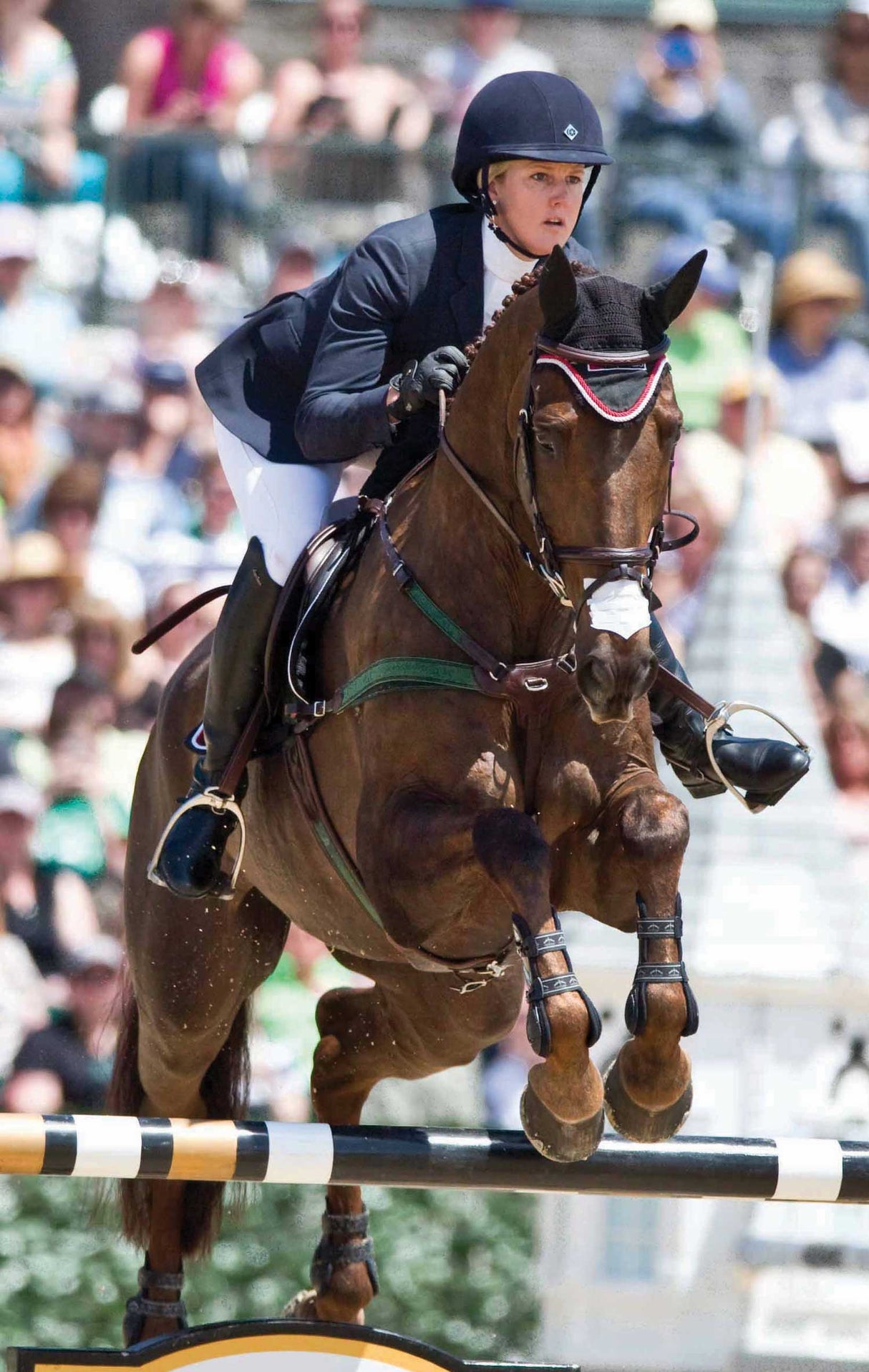 Amerigo Custom Combination Breastplate