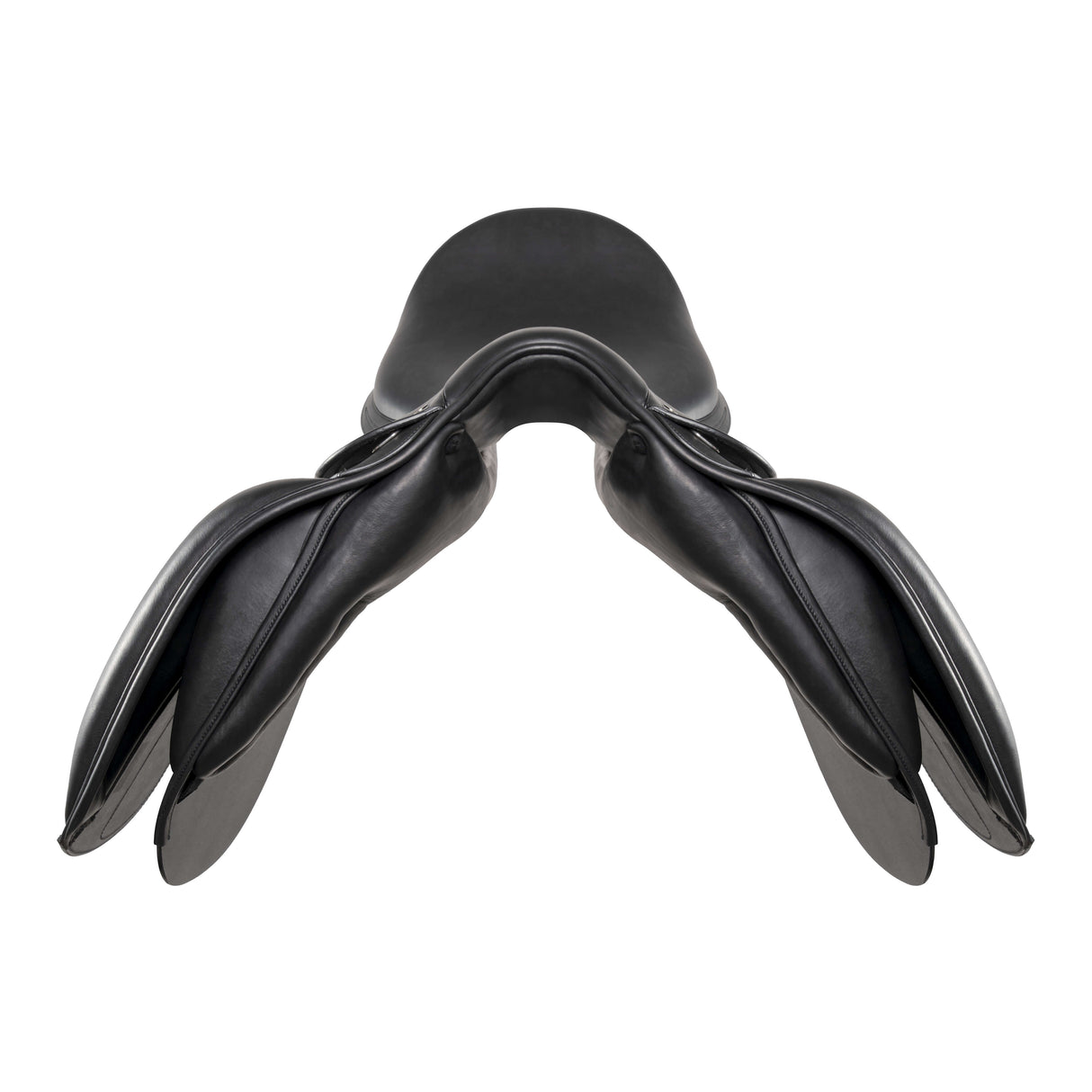 Amerigo Dressage Cortina