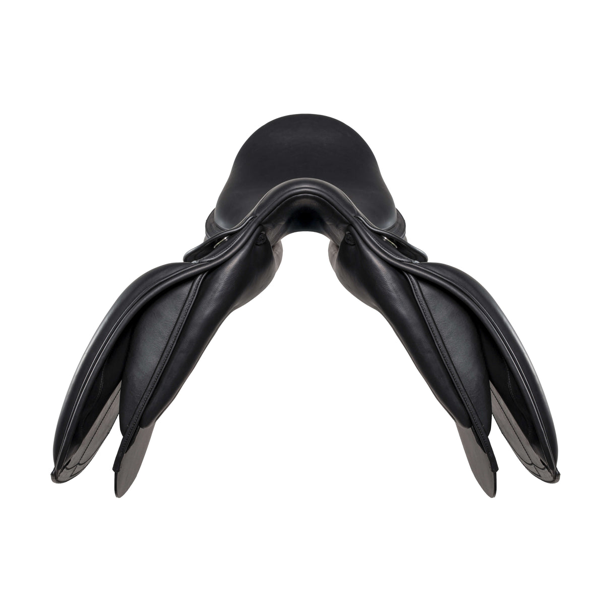 Amerigo HC Dressage