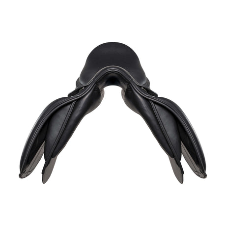 Amerigo HC Dressage