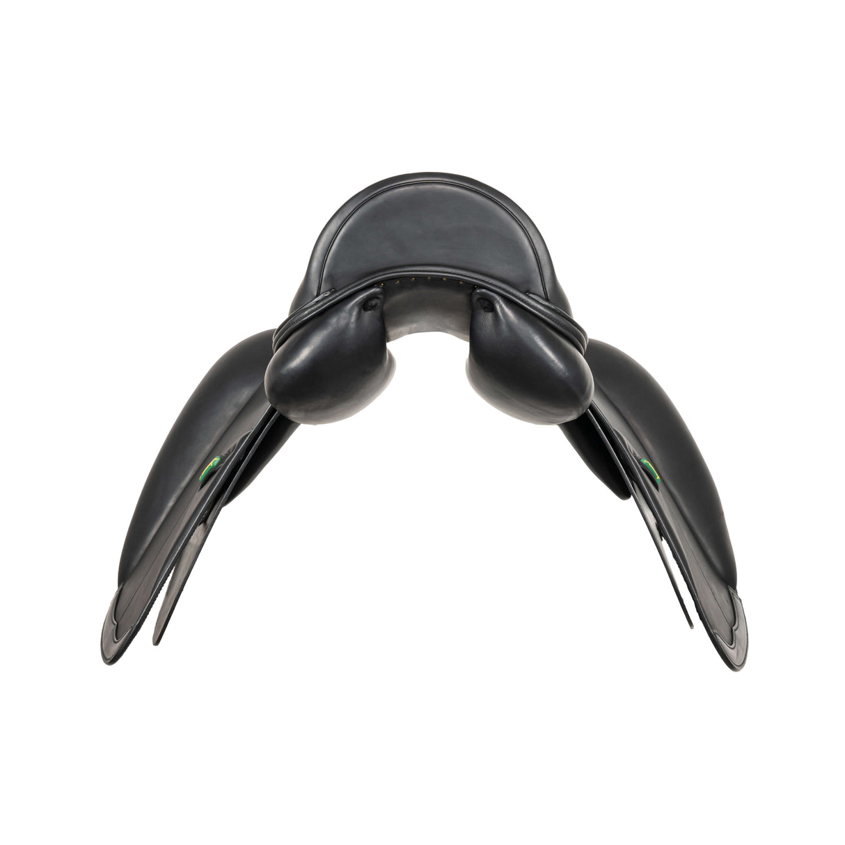 Amerigo HC Dressage