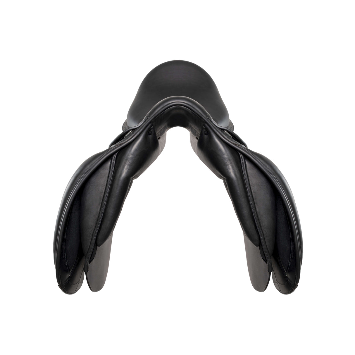 Amerigo Dressage Pasubio