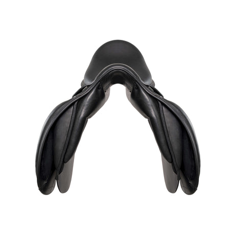 Amerigo Dressage Pasubio