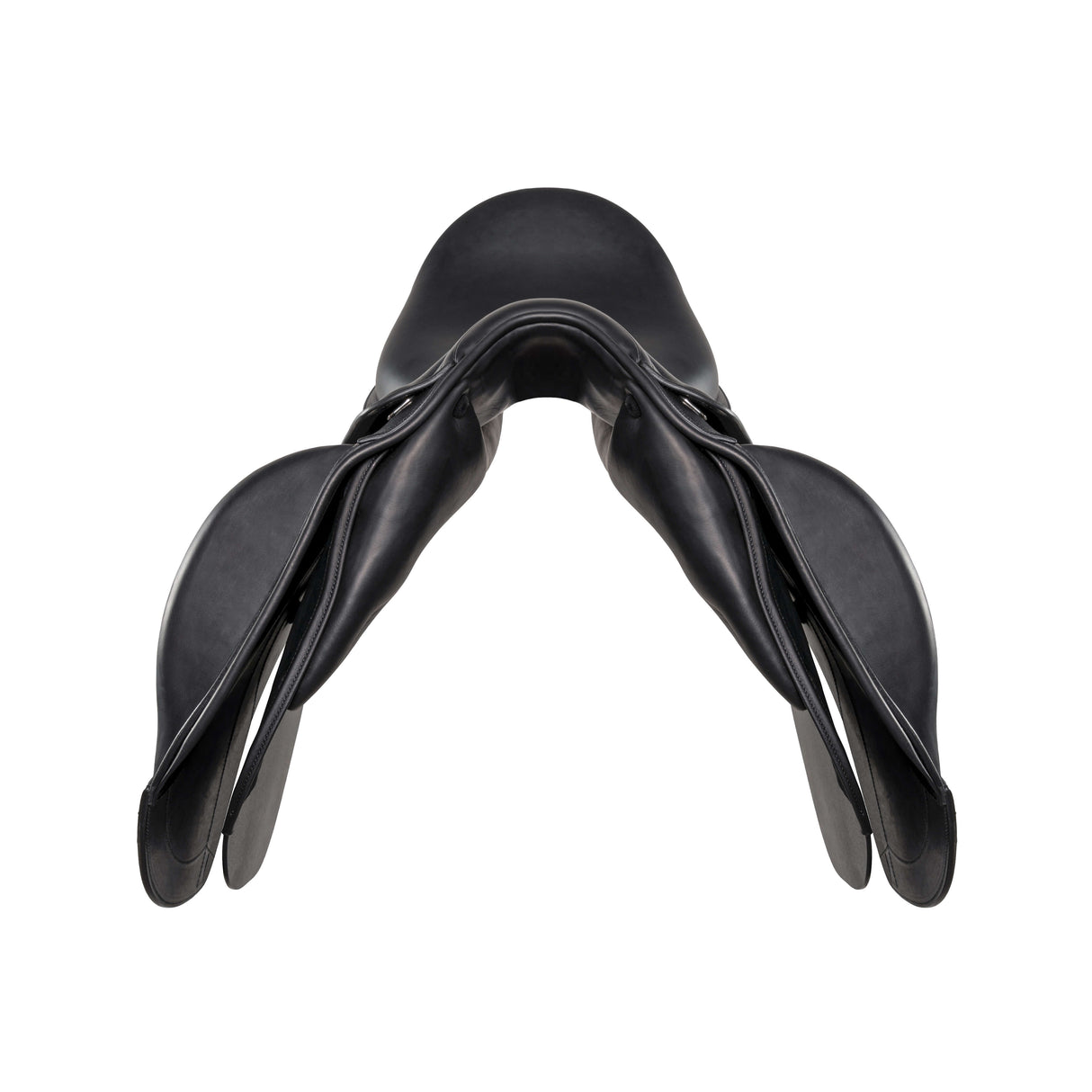 Amerigo Dressage Selva