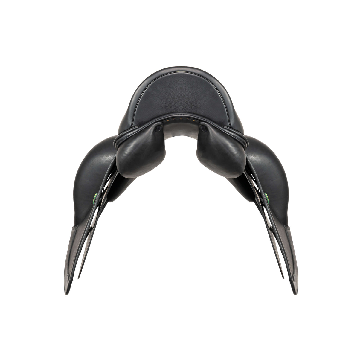 Amerigo Dressage Selva
