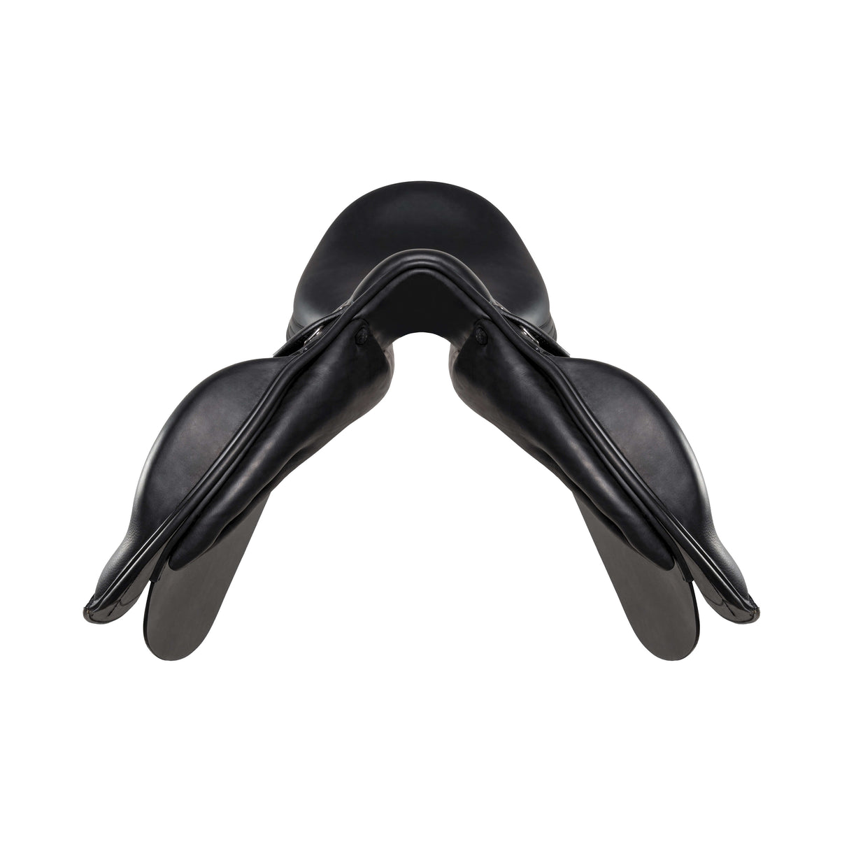 Amerigo Vega Dressage