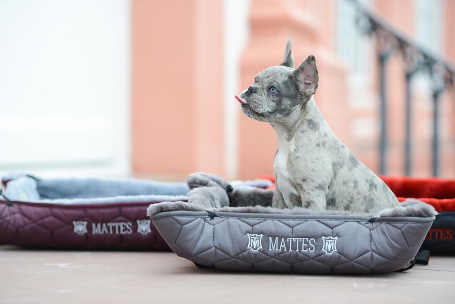 Mattes Dog Bed, Version 1 with 30mm Sheepskin Loft