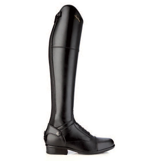 Sergio Grasso Evolution