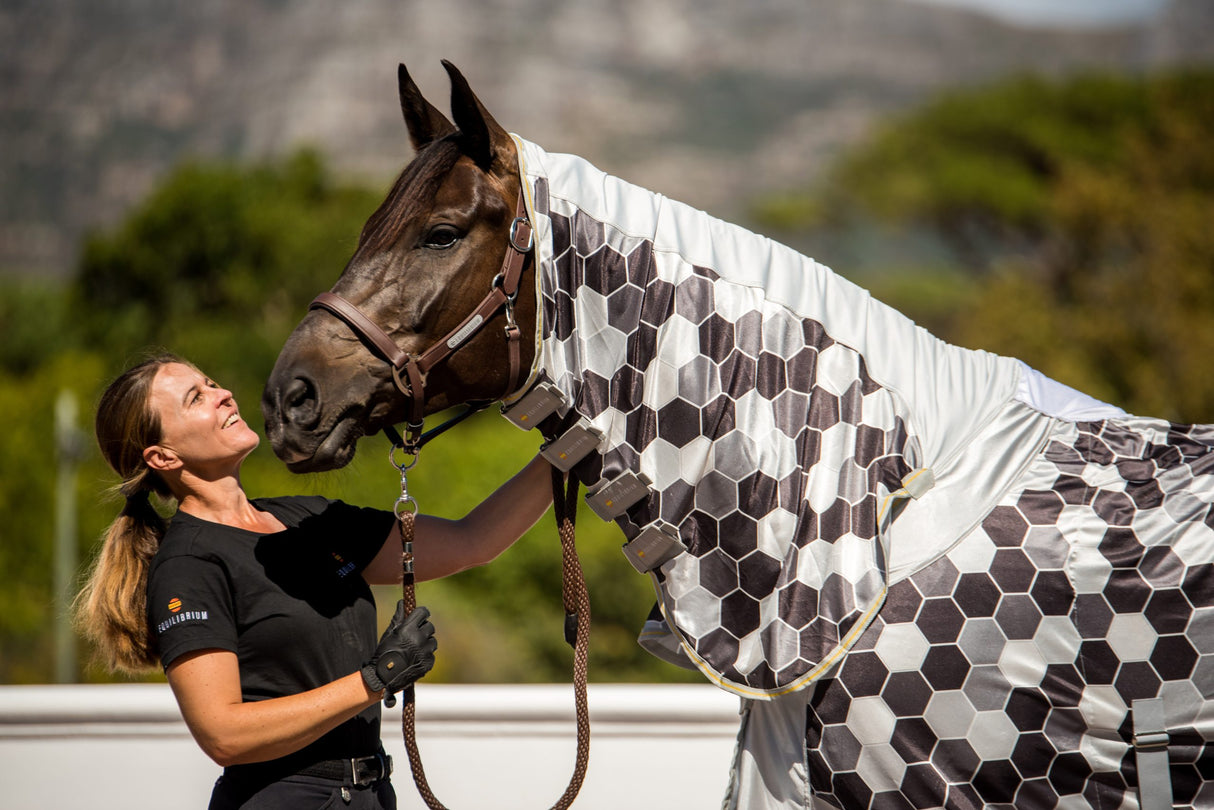 Equilibrium Field Relief Fly Sheet