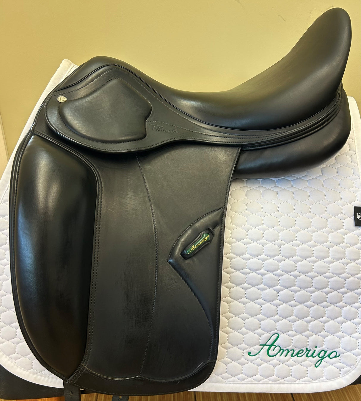 Amerigo Cortina Dressage Pinerolo - 18N030520422