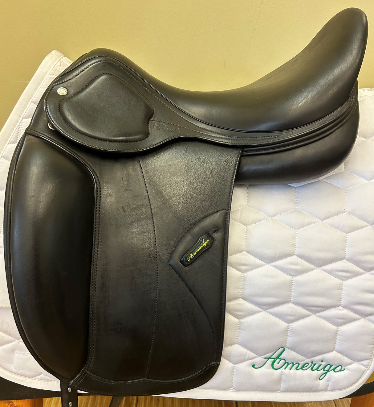 Amerigo HC Dressage Pinerolo - 18N008320221