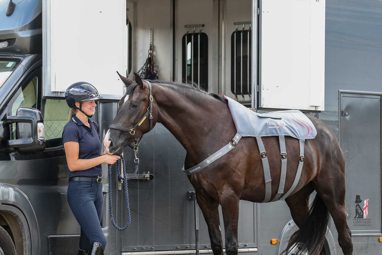 Equilibrium Therapy Massage Pad Heatsense