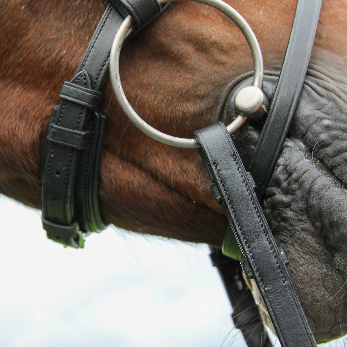 Vespucci Plain Raised Dressage Bridle