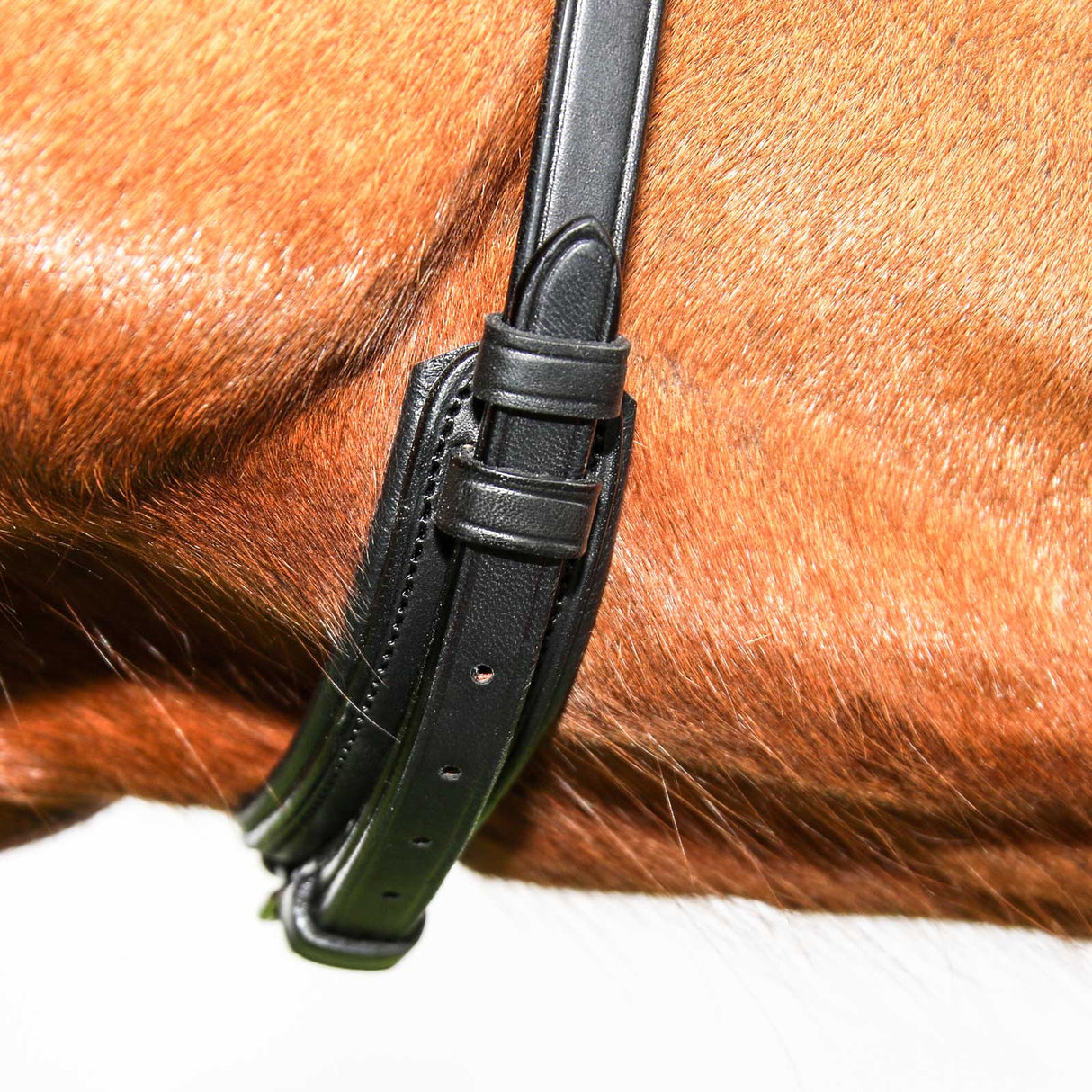 Vespucci Plain Raised Dressage Bridle
