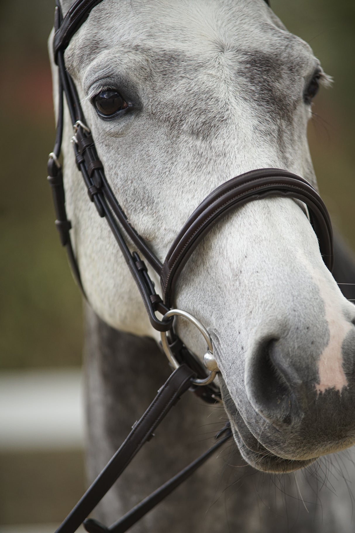 Menetics Dressage Snaffle Double Raised Bridle