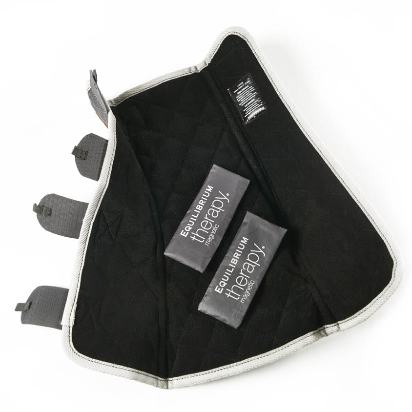 Equilibrium Therapy Replacement Magnets for Magnetic Chaps