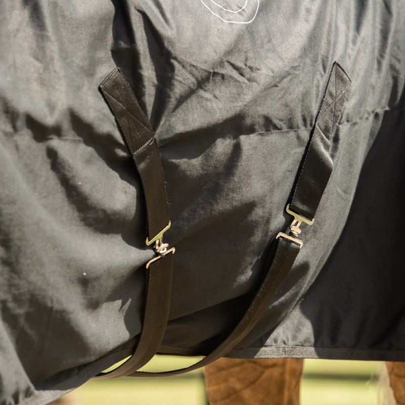 Equilibrium Magnetic Rug - Original