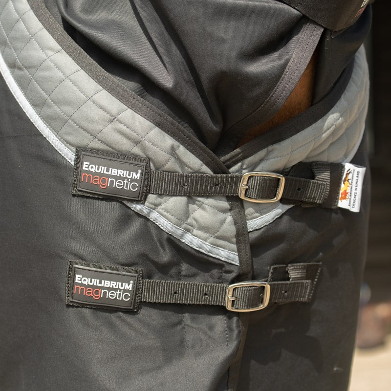 Equilibrium Magnetic Rug - Original