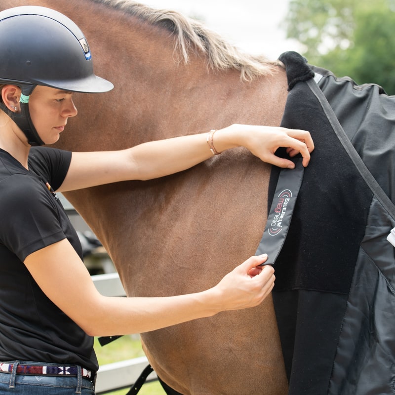 Equilibrium Magnetic Rug - Original