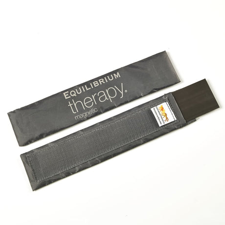 Equilibrium Therapy Replacement Magnets for Magnetic Chaps