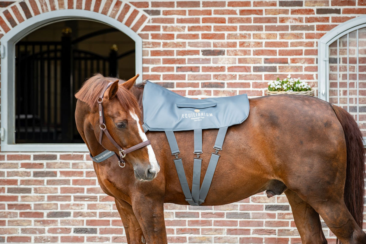 Equilibrium Therapy Massage Pad