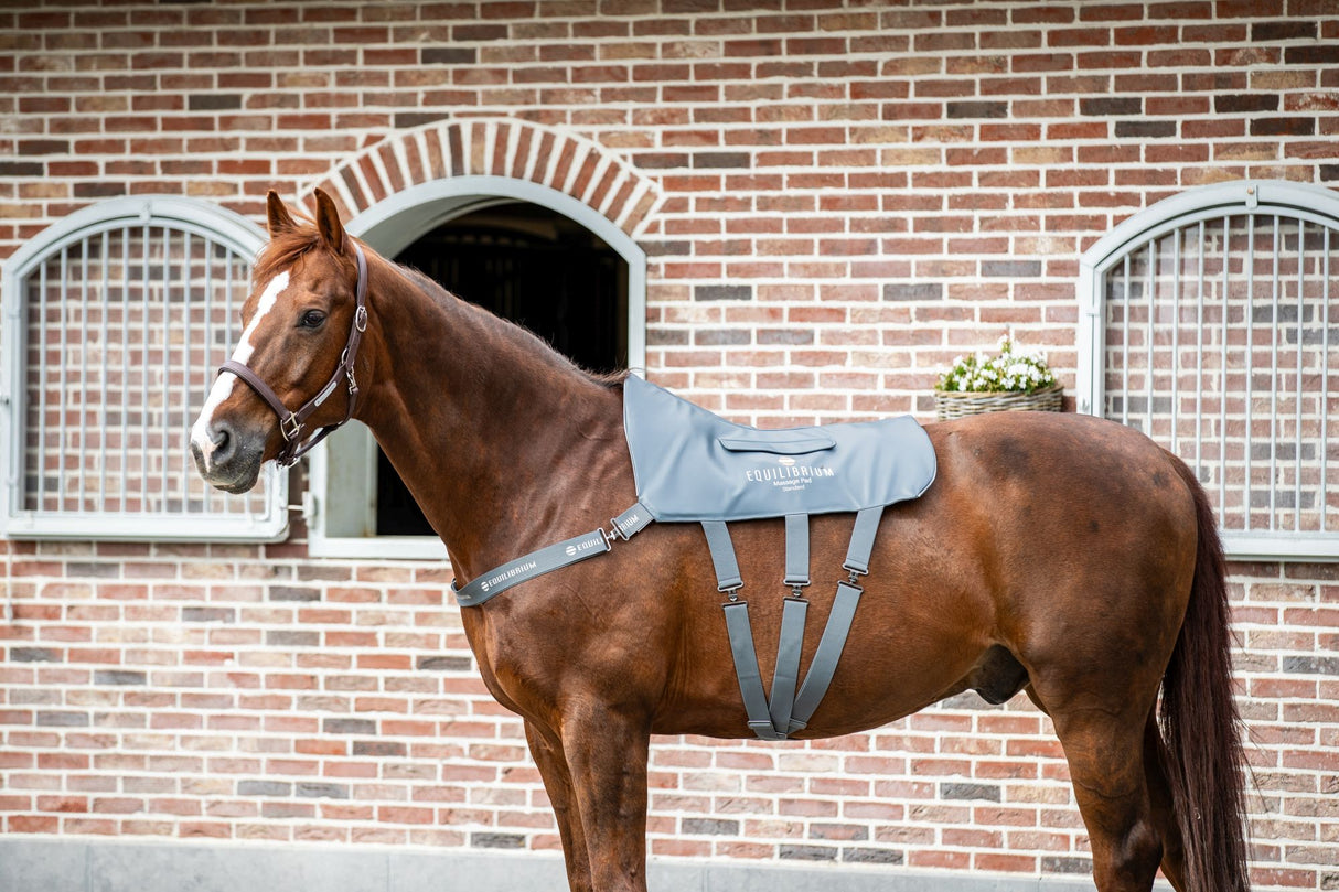 Equilibrium Therapy Massage Pad