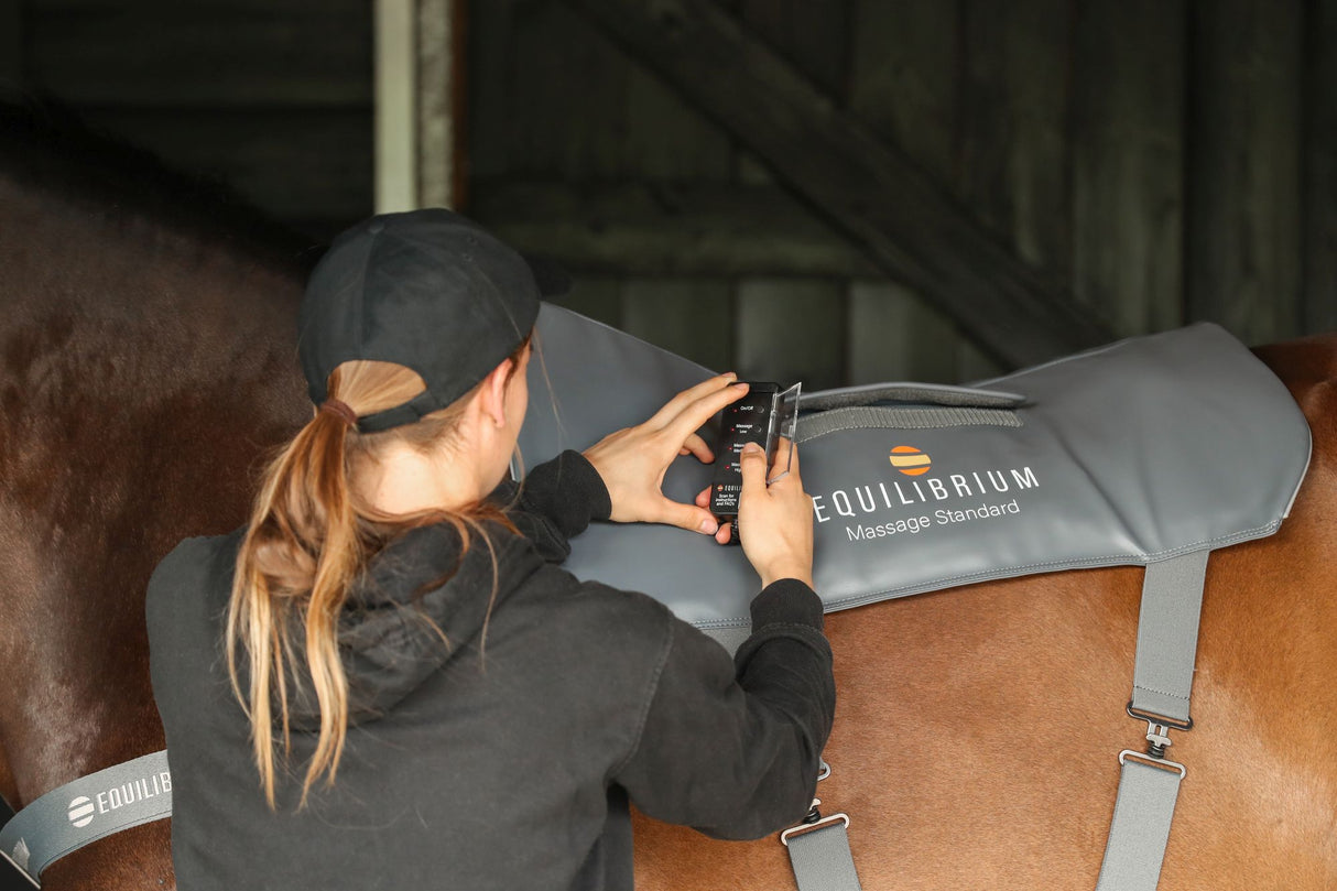 Equilibrium Therapy Massage Pad