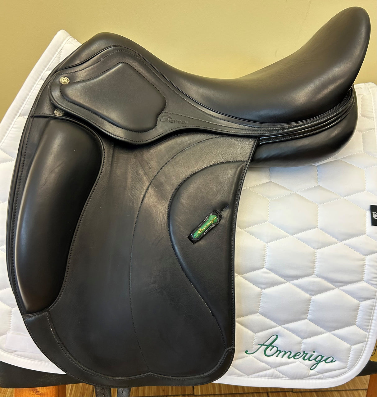 Amerigo Cortina Siena Dressage Pinerolo MF - 18L073340922