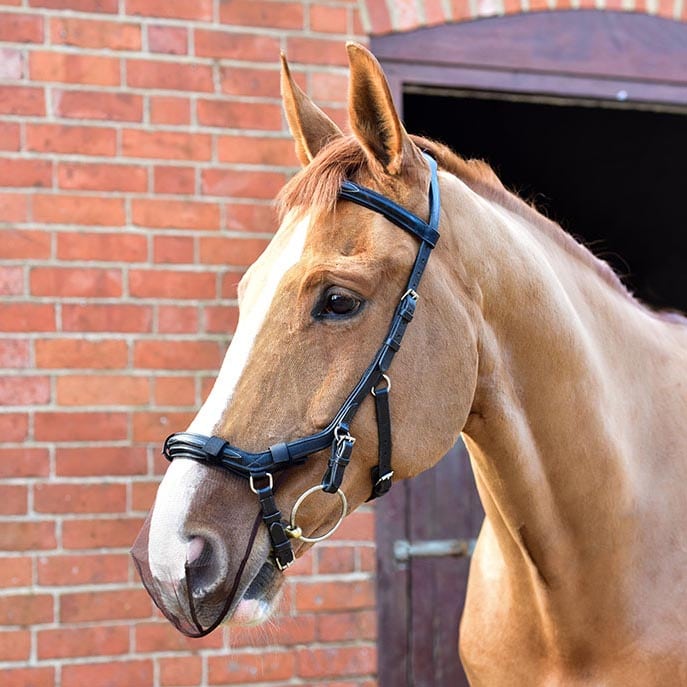 Equilibrium Net Relief for Micklem® (2-pack)