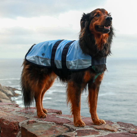 Equilibrium Quick Chill Dog Coat