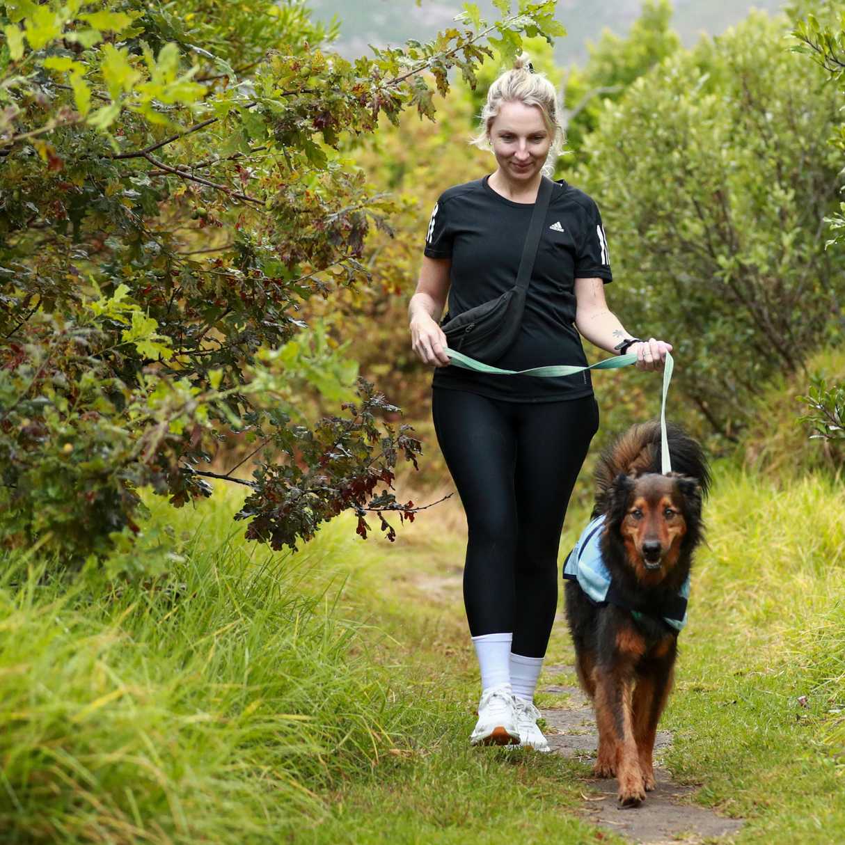 Equilibrium Quick Chill Dog Coat