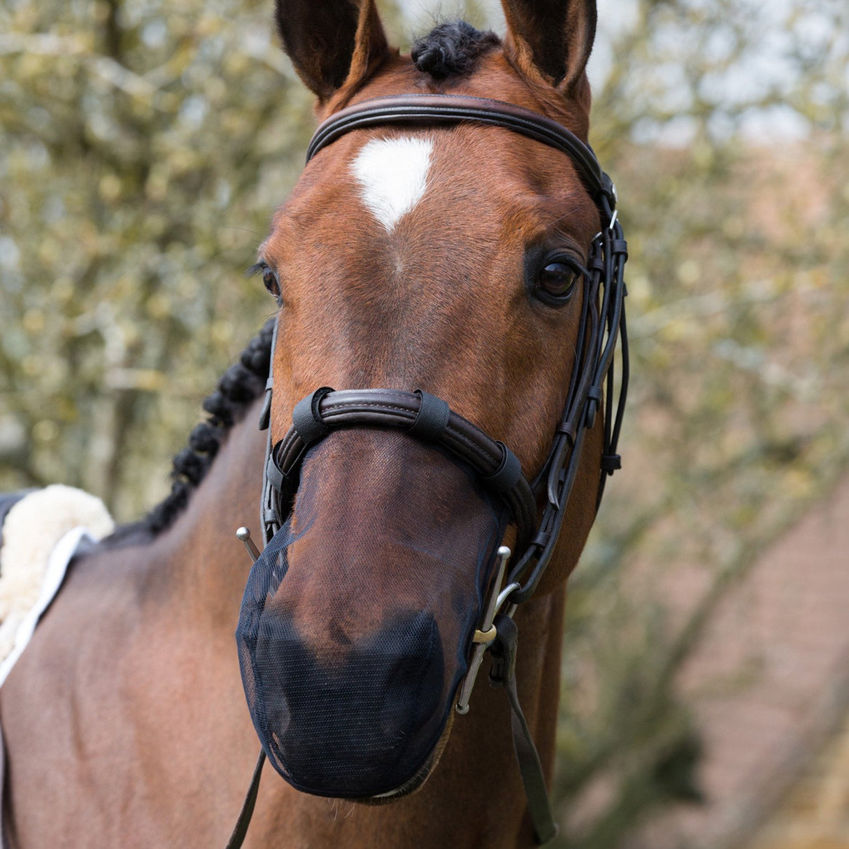 Equilibrium Net Relief (2-pack)