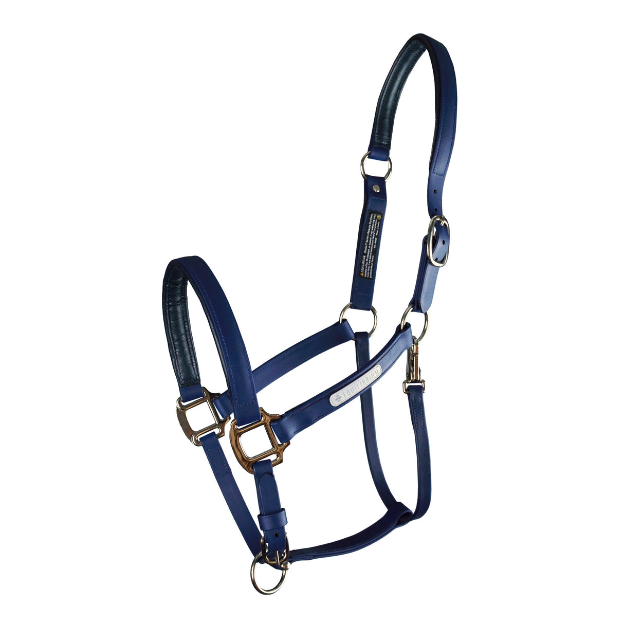 Equilibrium Stellar Head Collar - Original