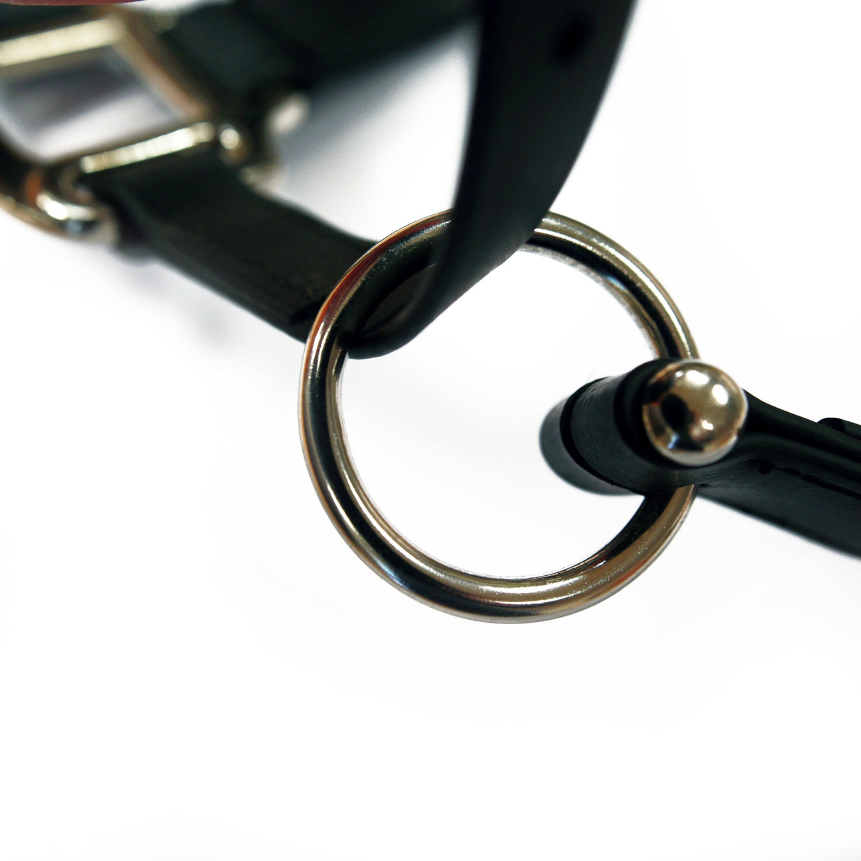 Equilibrium Stellar Head Collar - Original