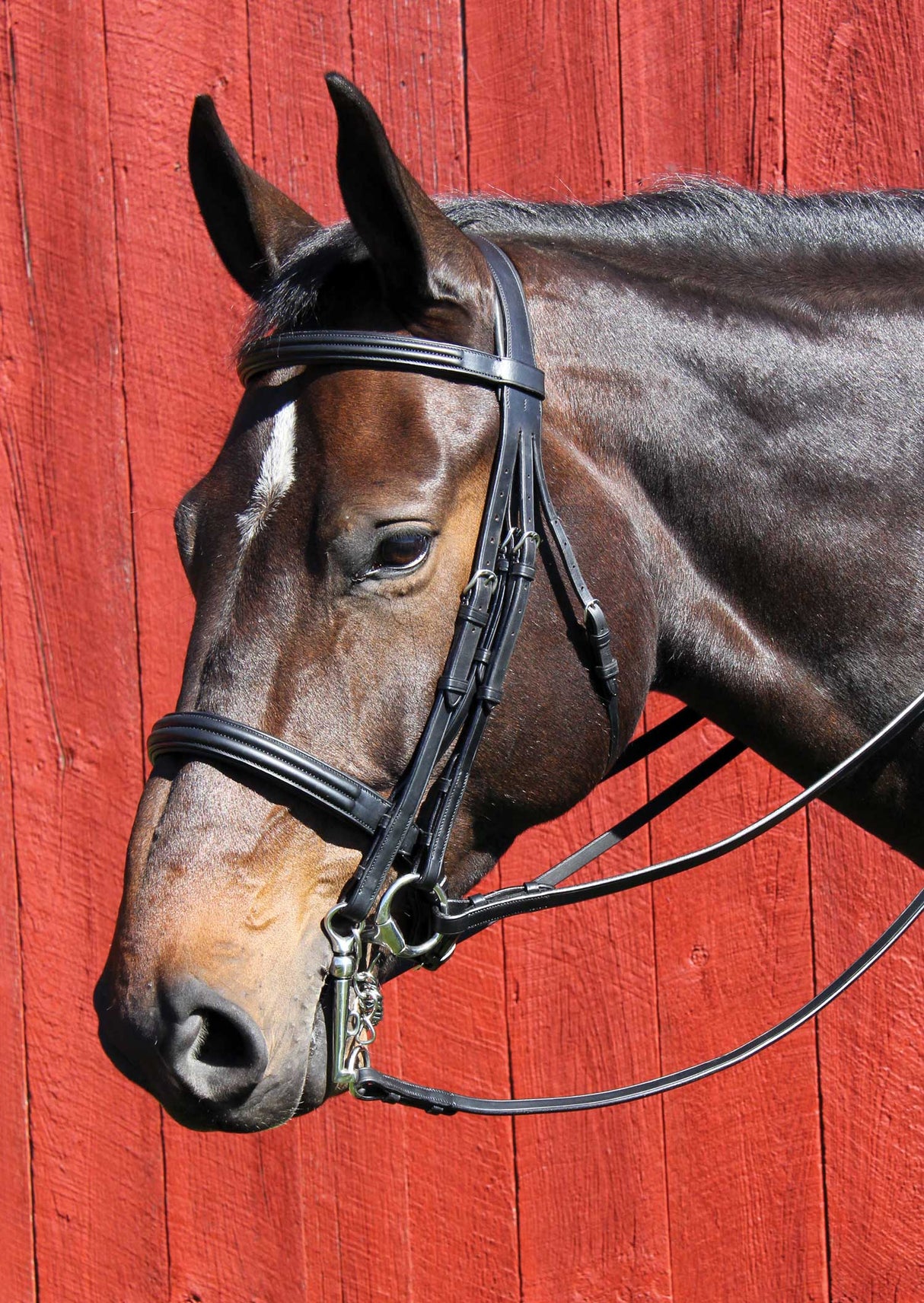 Vespucci Double Raised Weymouth Bridle, Single Crown