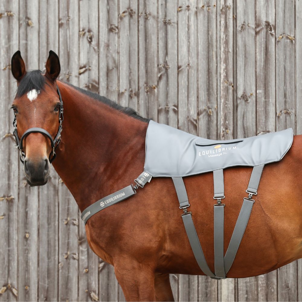 Equilibrium Therapy XL Massage Pad