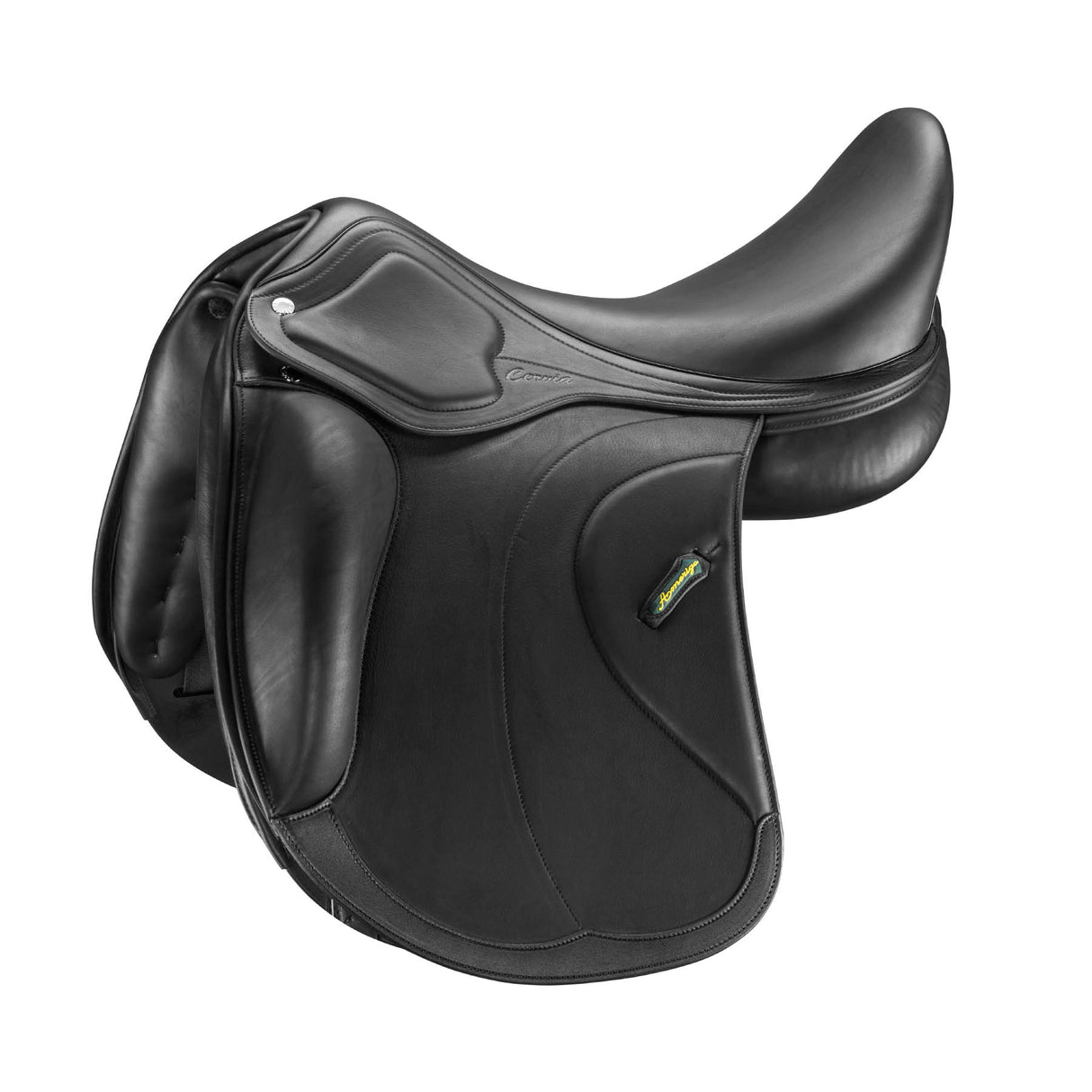 Amerigo Dressage Cervia Siena