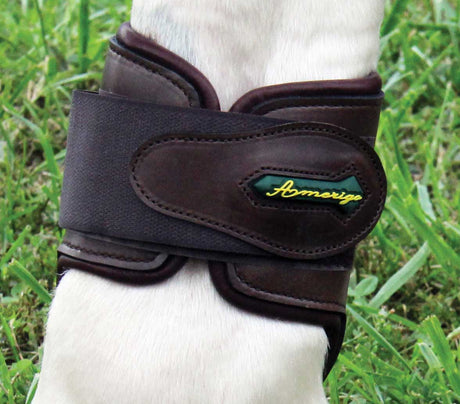 Amerigo Pialotta Fetlock Boots II with Velcro