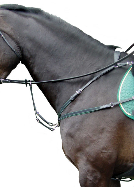 Amerigo Custom Combination Breastplate